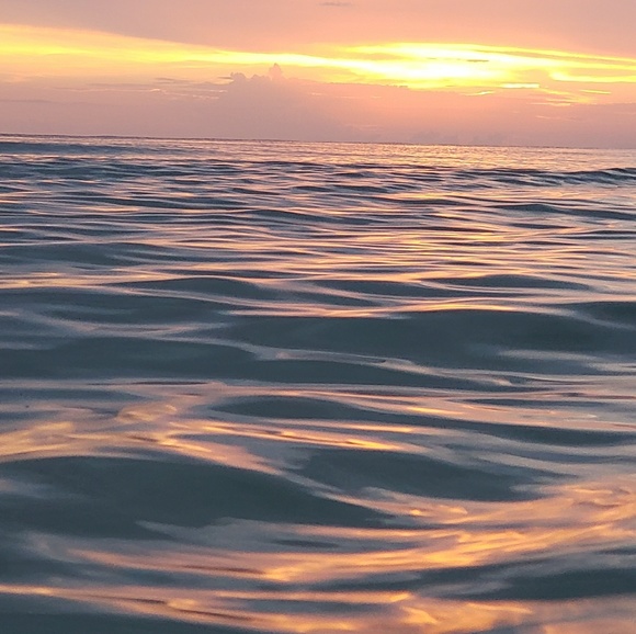 Meet your Posher, Aaron - Picture 1 of 1